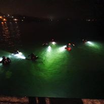 SSDK på Divers Night
